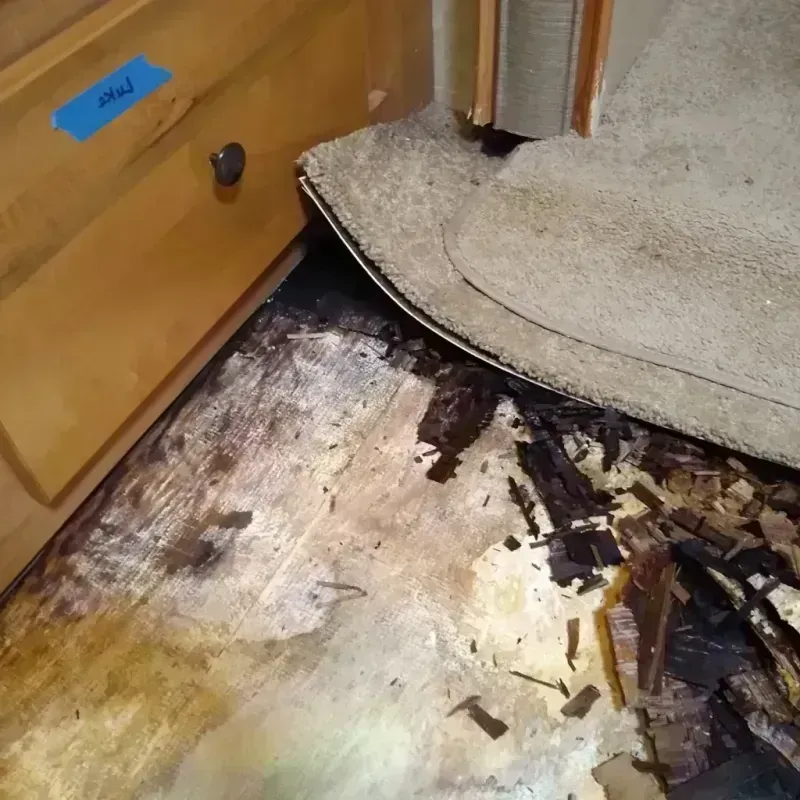 Wood Floor Water Damage in Temple, GA